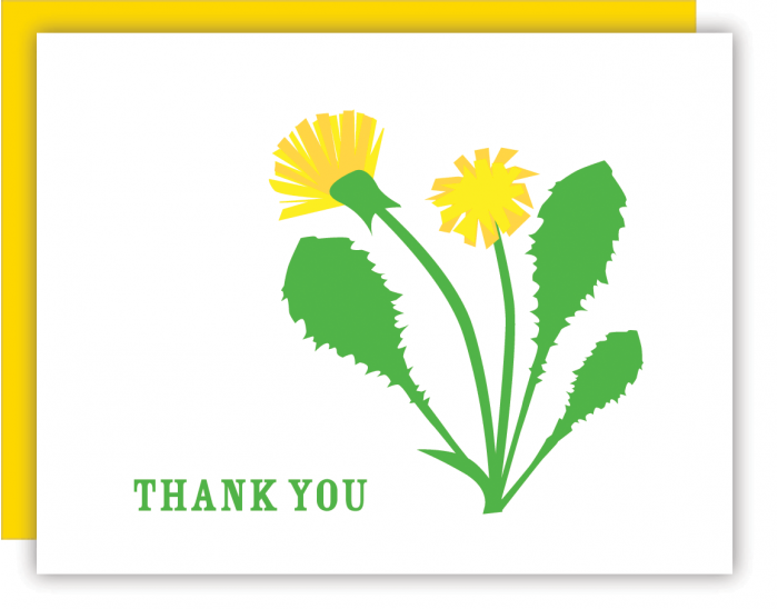 Dandelion Thank You