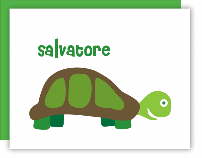Turtle